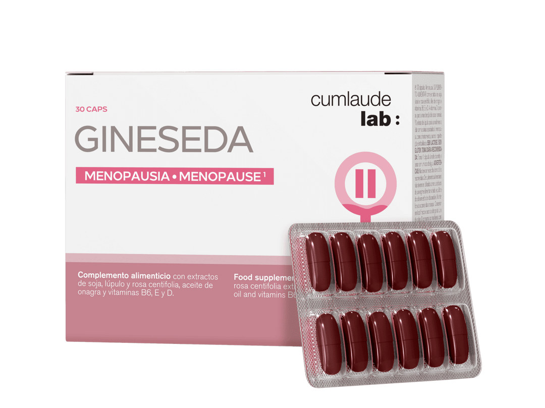 Gineseda