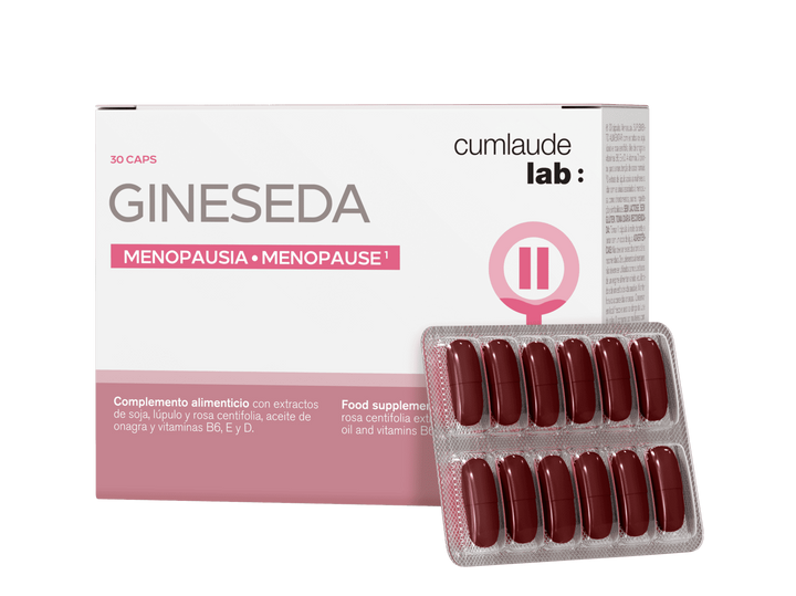 Gineseda